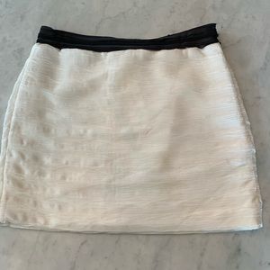 Beautiful Chiffon Overlay Skirt NWT
